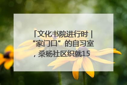 文化书院进行时｜“家门口”的自习室，桑杨社区织就15分钟学习生活圈