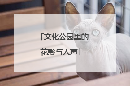 文化公园里的花影与人声