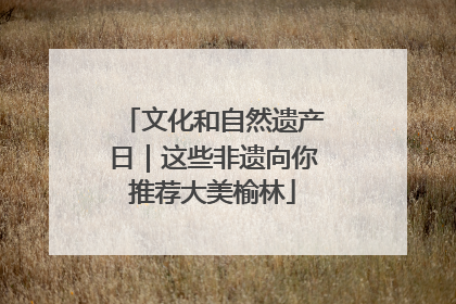 文化和自然遗产日｜这些非遗向你推荐大美榆林