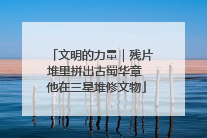 文明的力量｜残片堆里拼出古蜀华章 他在三星堆修文物