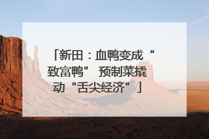 新田：血鸭变成“致富鸭” 预制菜撬动“舌尖经济”
