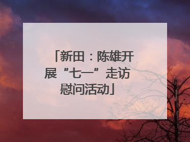 新田：陈雄开展“七一”走访慰问活动