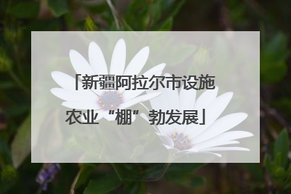 新疆阿拉尔市设施农业“棚”勃发展