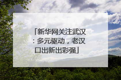 新华网关注武汉：多元驱动，老汉口出新出彩强