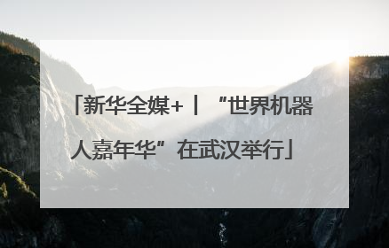 新华全媒+丨“世界机器人嘉年华”在武汉举行