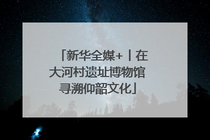 新华全媒+丨在大河村遗址博物馆寻溯仰韶文化