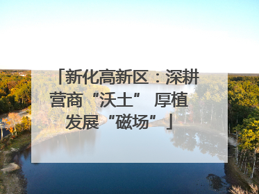新化高新区：深耕营商“沃土” 厚植发展“磁场”
