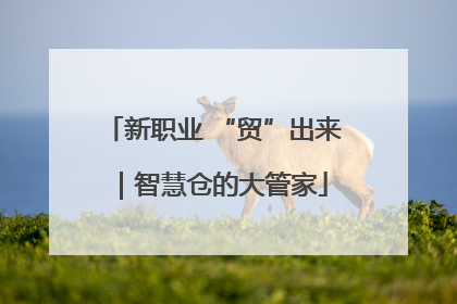 新职业 “贸”出来｜智慧仓的大管家