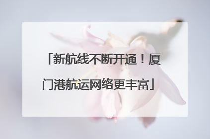 新航线不断开通！厦门港航运网络更丰富