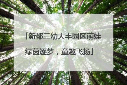 新都三幼大丰园区萌娃绿茵逐梦，童趣飞扬
