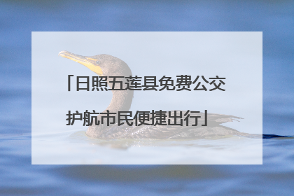 日照五莲县免费公交护航市民便捷出行
