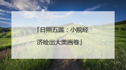 日照五莲：小院经济绘出大美画卷