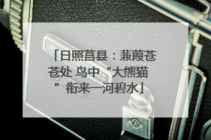 日照莒县：蒹葭苍苍处 鸟中“大熊猫”衔来一河碧水