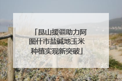 昆山援疆助力阿图什市盐碱地玉米种植实现新突破