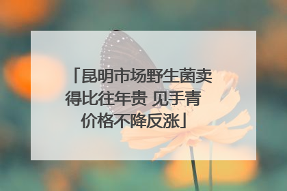昆明市场野生菌卖得比往年贵 见手青价格不降反涨
