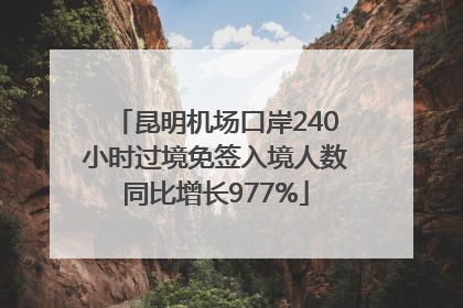 昆明机场口岸240小时过境免签入境人数同比增长977%