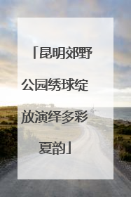 昆明郊野公园绣球绽放演绎多彩夏韵