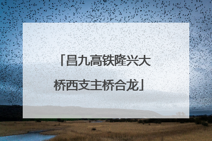 昌九高铁隆兴大桥西支主桥合龙