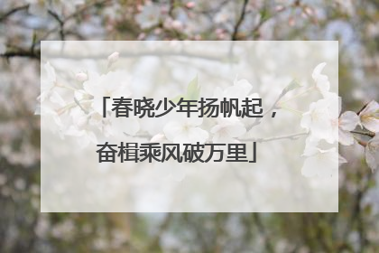 春晓少年扬帆起，奋楫乘风破万里