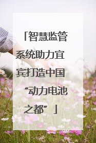 智慧监管系统助力宜宾打造中国“动力电池之都”