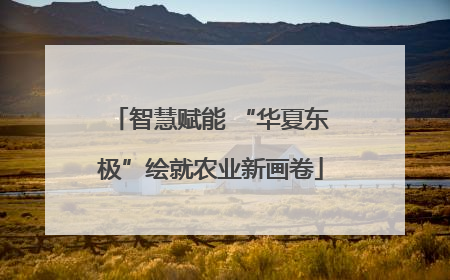 智慧赋能 “华夏东极”绘就农业新画卷