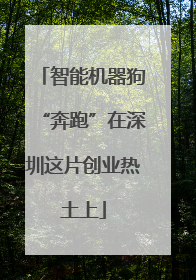 智能机器狗“奔跑”在深圳这片创业热土上