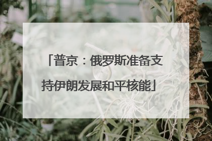 普京：俄罗斯准备支持伊朗发展和平核能