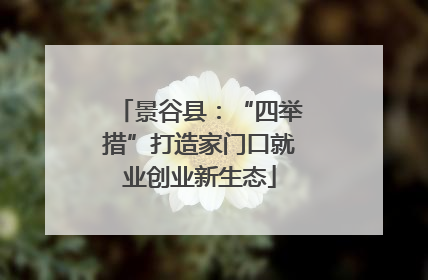 景谷县：“四举措”打造家门口就业创业新生态