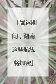 暑运期间，湖南这些航线将加密