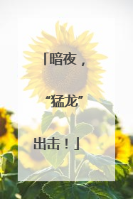 暗夜，“猛龙”出击！