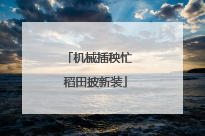 机械插秧忙 稻田披新装
