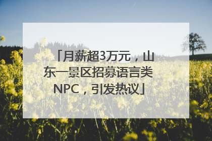 月薪超3万元，山东一景区招募语言类NPC，引发热议