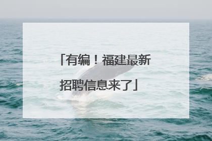 有编！福建最新招聘信息来了