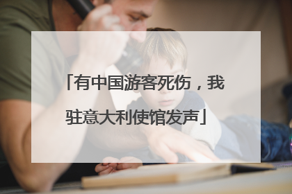 有中国游客死伤，我驻意大利使馆发声