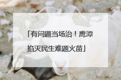 有问题当场治！鹰潭掐灭民生难题火苗