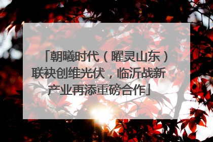 朝曦时代（曜灵山东）联袂创维光伏，临沂战新产业再添重磅合作