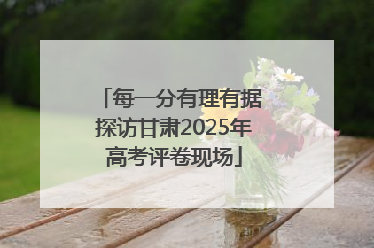 每一分有理有据 探访甘肃2025年高考评卷现场