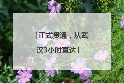 正式贯通，从武汉3小时直达