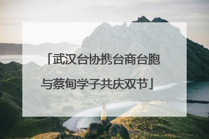 武汉台协携台商台胞与蔡甸学子共庆双节