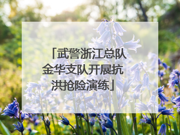 武警浙江总队金华支队开展抗洪抢险演练