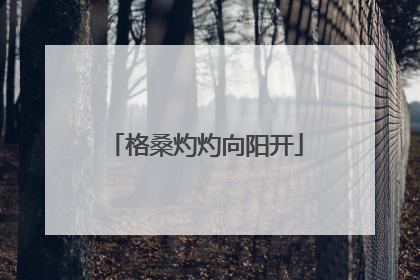 格桑灼灼向阳开