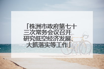 株洲市政府第七十三次常务会议召开 研究低空经济发展、大抓落实等工作