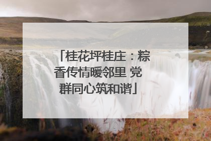 桂花坪桂庄：粽香传情暖邻里 党群同心筑和谐