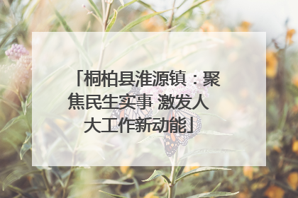 桐柏县淮源镇：聚焦民生实事 激发人大工作新动能
