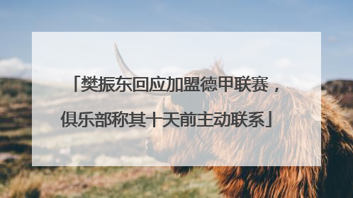 樊振东回应加盟德甲联赛，俱乐部称其十天前主动联系
