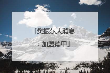 樊振东大消息：加盟德甲