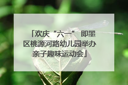欢庆“六一” 即墨区桃源河路幼儿园举办亲子趣味运动会