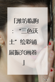 潍坊临朐：“三色沃土”绘彩铺展振兴画卷