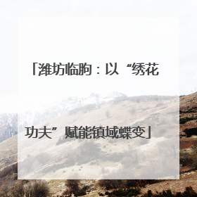 潍坊临朐：以“绣花功夫”赋能镇域蝶变