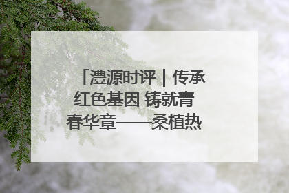 澧源时评｜传承红色基因 铸就青春华章——桑植热土上的青春长征